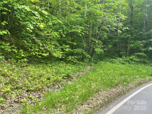 34 Buckeye Creek Rd, Beech Mountain, NC, 28604 | Card Image