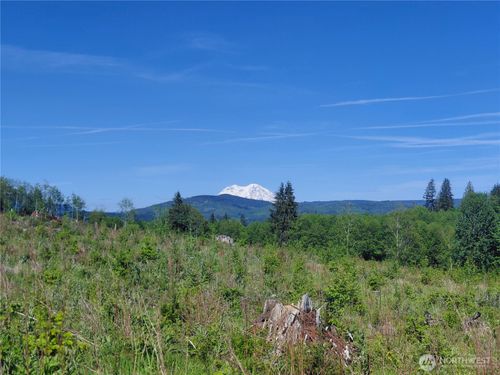 195 -82 Hagen Rd, Mossyrock, WA, 98564-0406 | Card Image