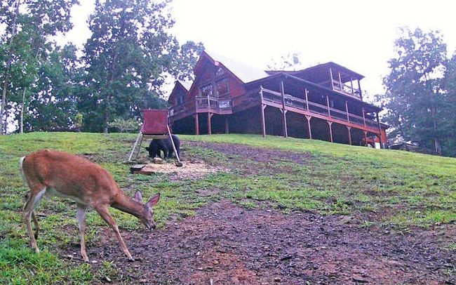 4760 Anderson Rd, Home with 4 bedrooms, 4 bathrooms and 2 parking in Hiawassee GA | Image 86