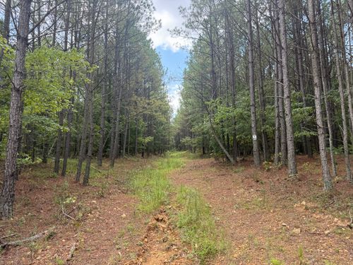 468 Seiber Ridge Rd, Hohenwald, TN, 38462 | Card Image