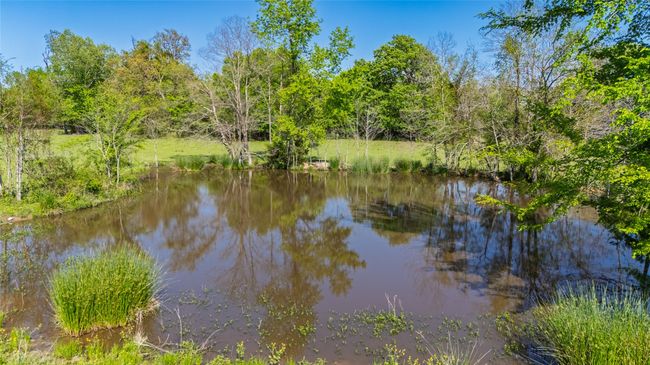 72 N Farm Road 900 N, Home with 0 bedrooms, 0 bathrooms and null parking in Saltillo TX | Image 5