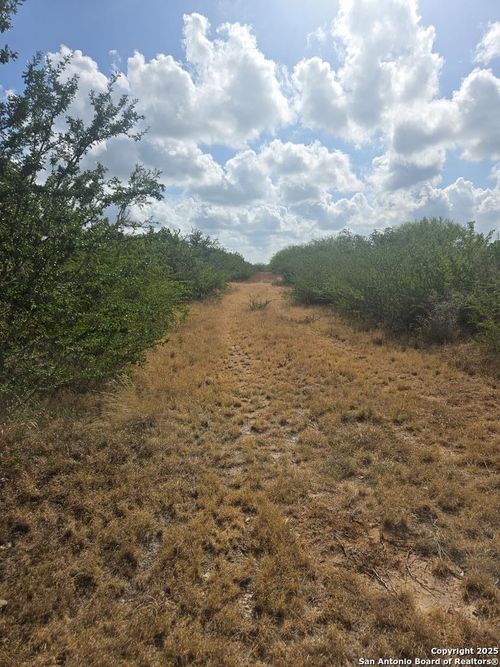 0 County Road 170, Alice, TX, 78332 | Card Image