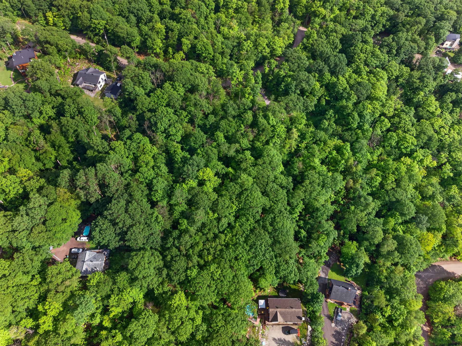 Land in Cantley 2