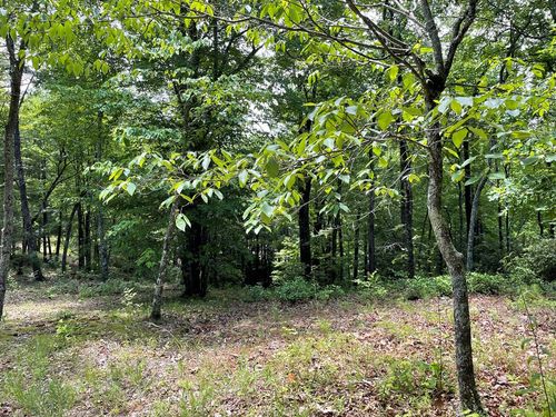 4 Collett Woods Trl, Andrews, NC, 28901-5508 | Card Image