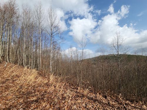 0 Terrace Ln, Blairsville, GA, 30512 | Card Image