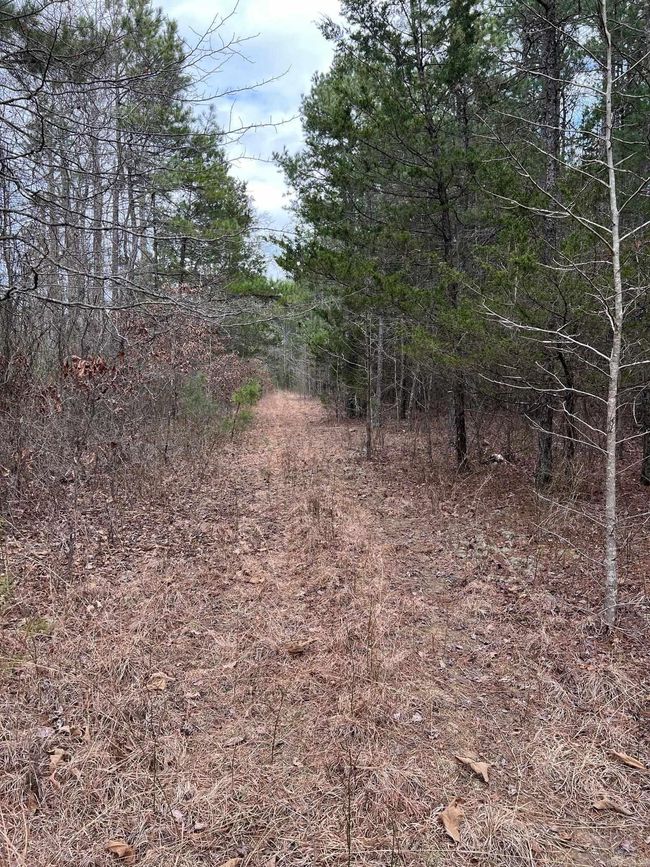 00 Yates Ln, Home with 0 bedrooms, 0 bathrooms and null parking in Tumbling Shoals AR | Image 10