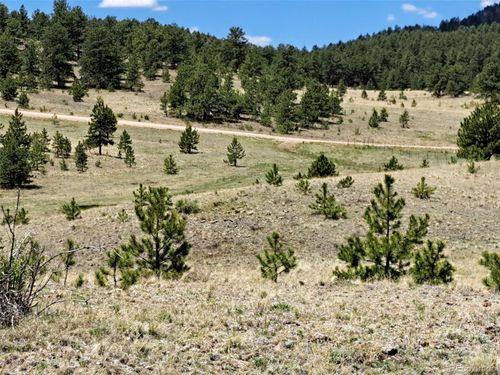 744 Julia Rd, Guffey, CO, 80820 | Card Image