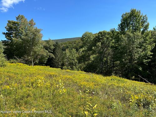 Tbd Todd Mountain Rd, Arkville, NY, 12406 | Card Image