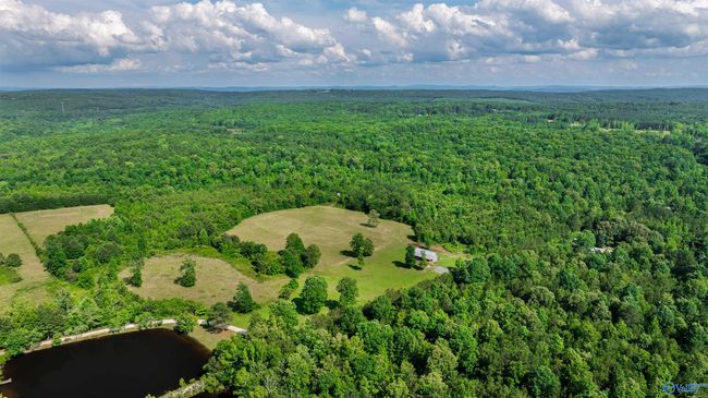 174 County Road 654, House other with 4 bedrooms, 2 bathrooms and null parking in Mentone AL | Image 39