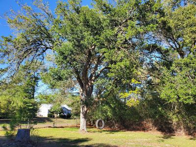 909 W Elder Street, House other with 3 bedrooms, 2 bathrooms and null parking in Colmesneil TX | Image 3