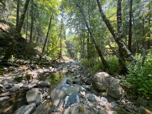 1995 Soper Rd, Garberville, CA, 95542 | Card Image