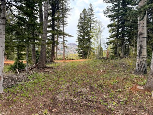 646 W Ski View Dr, Brian Head, UT, 84719 | Card Image
