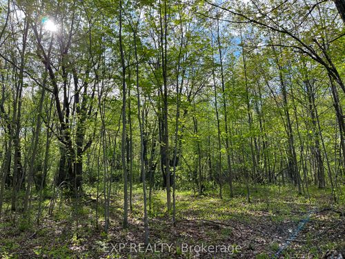 lot 7 Casson Trail, Madawaska Valley, ON, K0J1B0 | Card Image