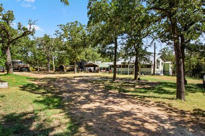 Your own private driveway to the property, surrounded by mature trees. | Image 3