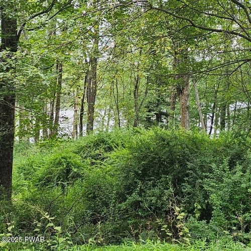 Lot 45 Lake Russell Road, Newfoundland, PA, 18445 | Card Image