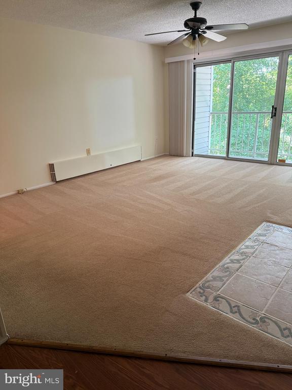 Residential Lease in HAMILTON 2