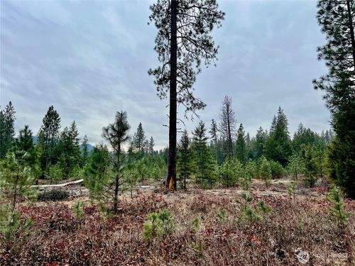 0 40TBD Highway 25 N, Northport, WA, 99157 | Card Image