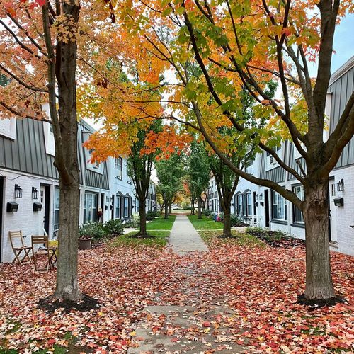 apt-j-1908 Green Bay Rd, Highland Park, IL, 60035-3141 | Card Image