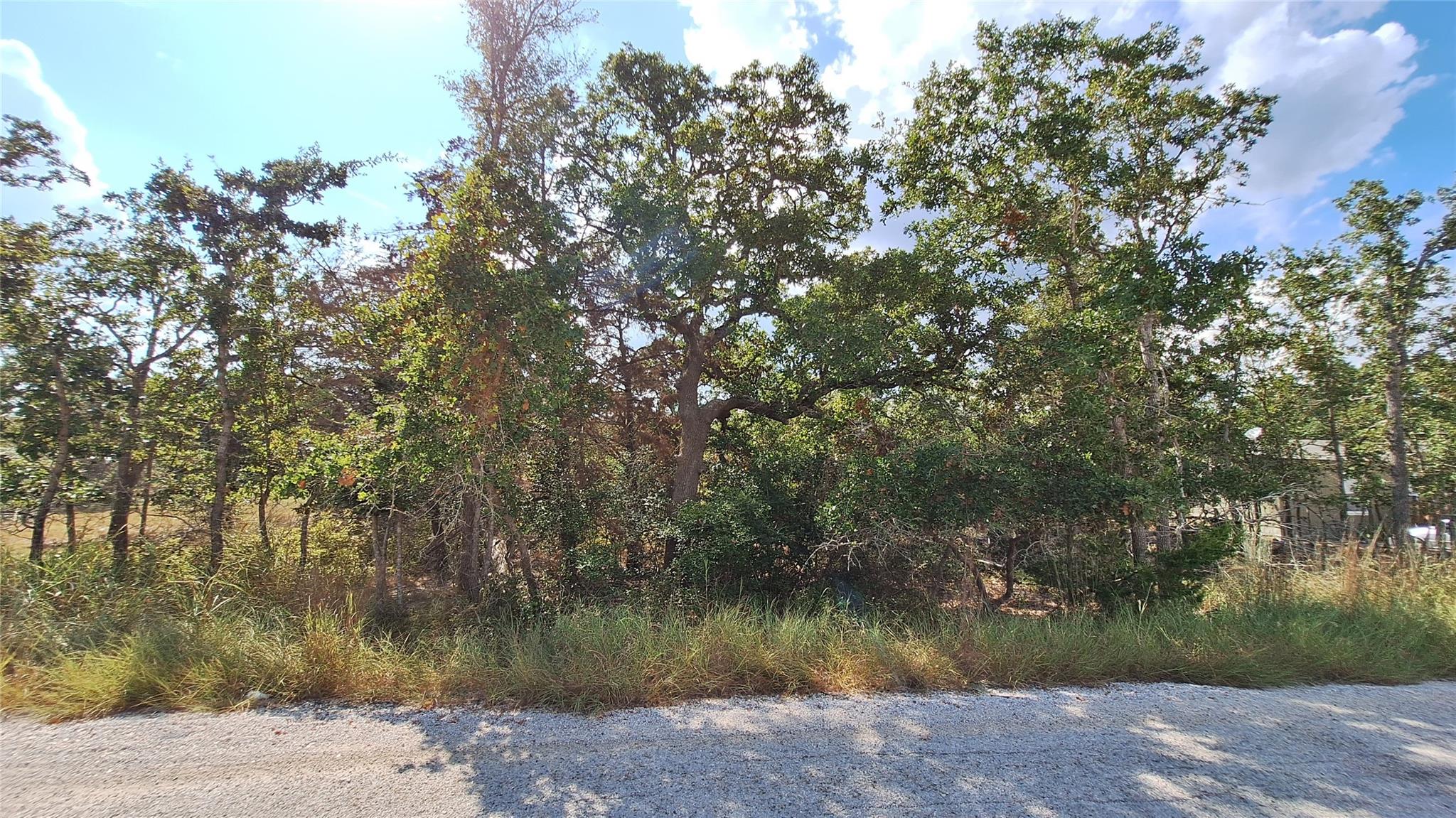 Land in Somerville