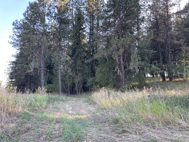 181 Harris Ridge Loop, House other with 3 bedrooms, 3 bathrooms and 2 parking in Kooskia ID | Image 43