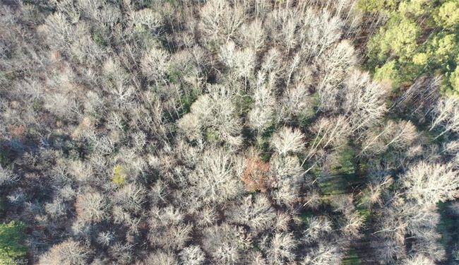 00 Farmstead Rd, Home with 0 bedrooms, 0 bathrooms and null parking in Seagrove NC | Image 6