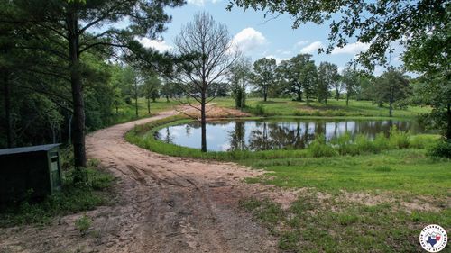 2120 County Road 4530, Avery, TX, 75554-5655 | Card Image