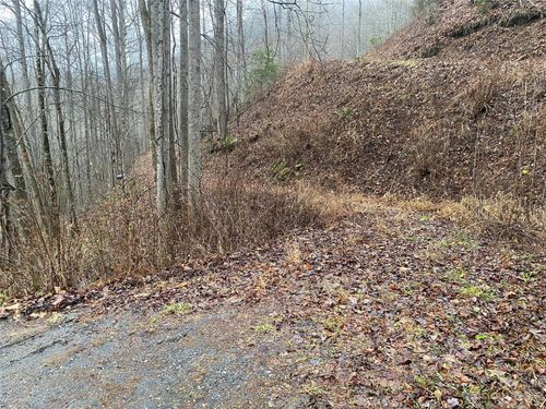 Tr 17B Forest Run Road, Whittier, NC, 28789 | Card Image