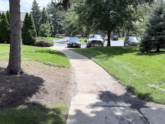 Residential in Naperville 2
