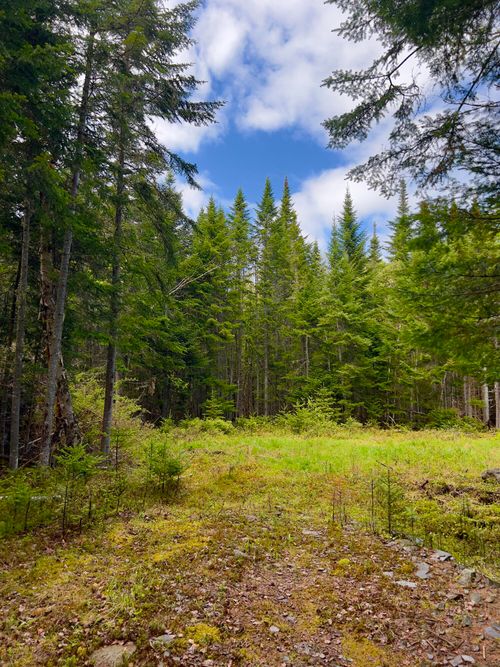 2/001-09A Kendall Farm Trail, Dallas Plt, ME, 04970 | Card Image
