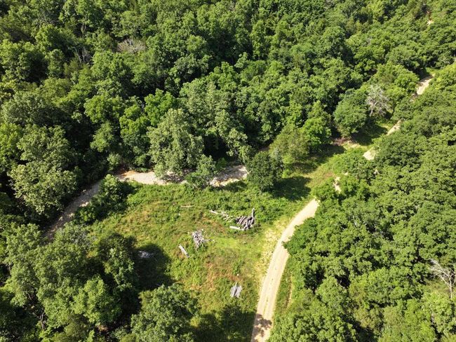 dji_fly_20250620_103602_0039_17504330759 | Image 9