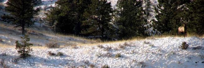 SC-28 - TBD Lone Rock Canyon Lane, Home with 0 bedrooms, 0 bathrooms and null parking in Hysham MT | Image 41