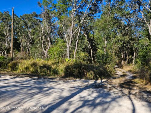 0 Berryhill Dr, Webster, FL, 33597 | Card Image