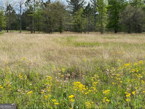 0 Main Trail, Fleming, GA, 31309 | Card Image