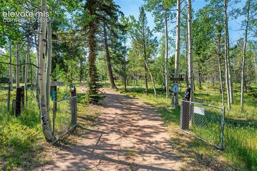 106 Forest Court, Guffey, CO, 80820 | Card Image