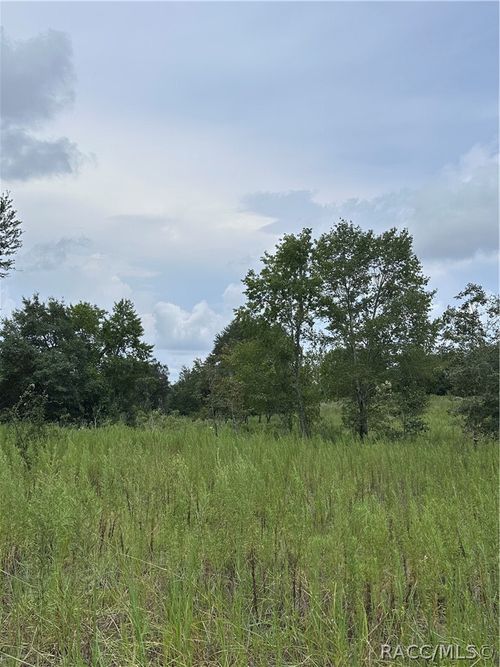 131 N Tighe Drive, Inverness, FL, 34453 | Card Image