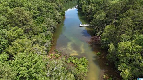 64-Lot 64 Shoreside Dr, Double Springs, AL, 35553-0047 | Card Image