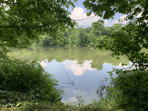 3 Off Kennys Bend Ln, Carthage, TN, 37030 | Card Image
