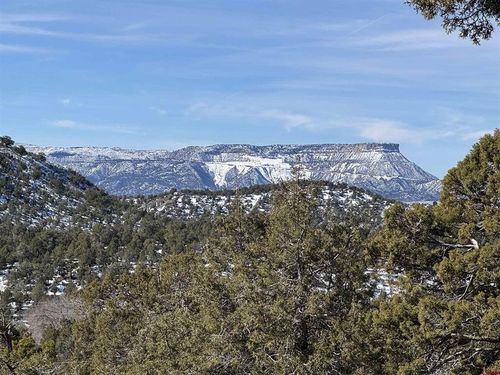 TBD Road 41.4, Mancos, CO, 81328 | Card Image