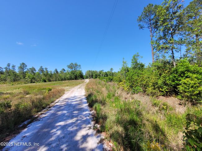 2155 State Road 40, Home with 0 bedrooms, 0 bathrooms and null parking in De Leon Springs FL | Image 8
