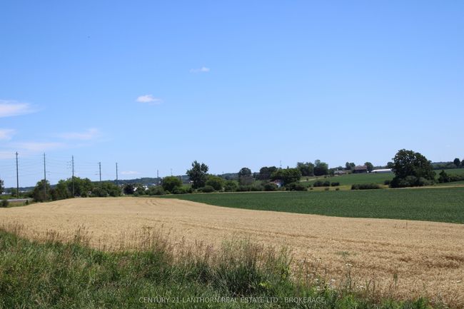 LT15-16 County 1 Road W, Home with 0 bedrooms, 0 bathrooms and null parking in Greater Napanee ON | Image 11
