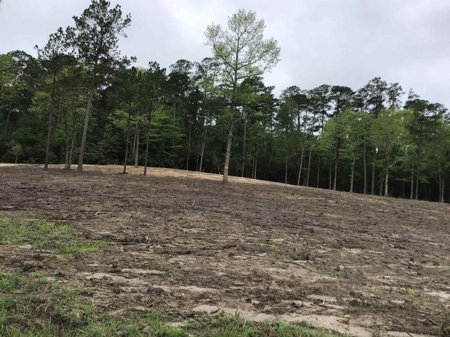 165 Jennifer Ln, Home with 0 bedrooms, 0 bathrooms and null parking in Burkeville TX | Image 6