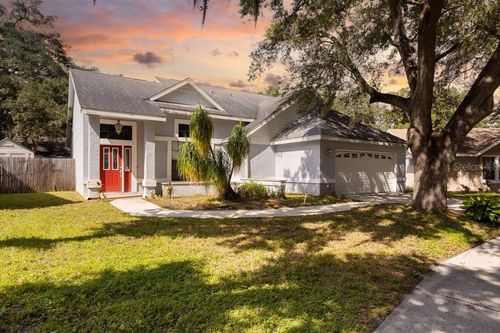 4119 Moreland Dr, VALRICO, FL, 33596-6335 | Card Image