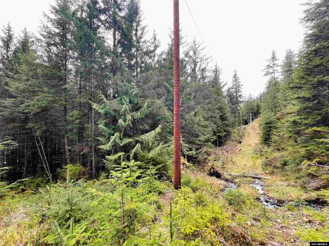L3A &amp; 3B No Street Given, Home with 0 bedrooms, 0 bathrooms and null parking in Whale Pass AK | Image 20