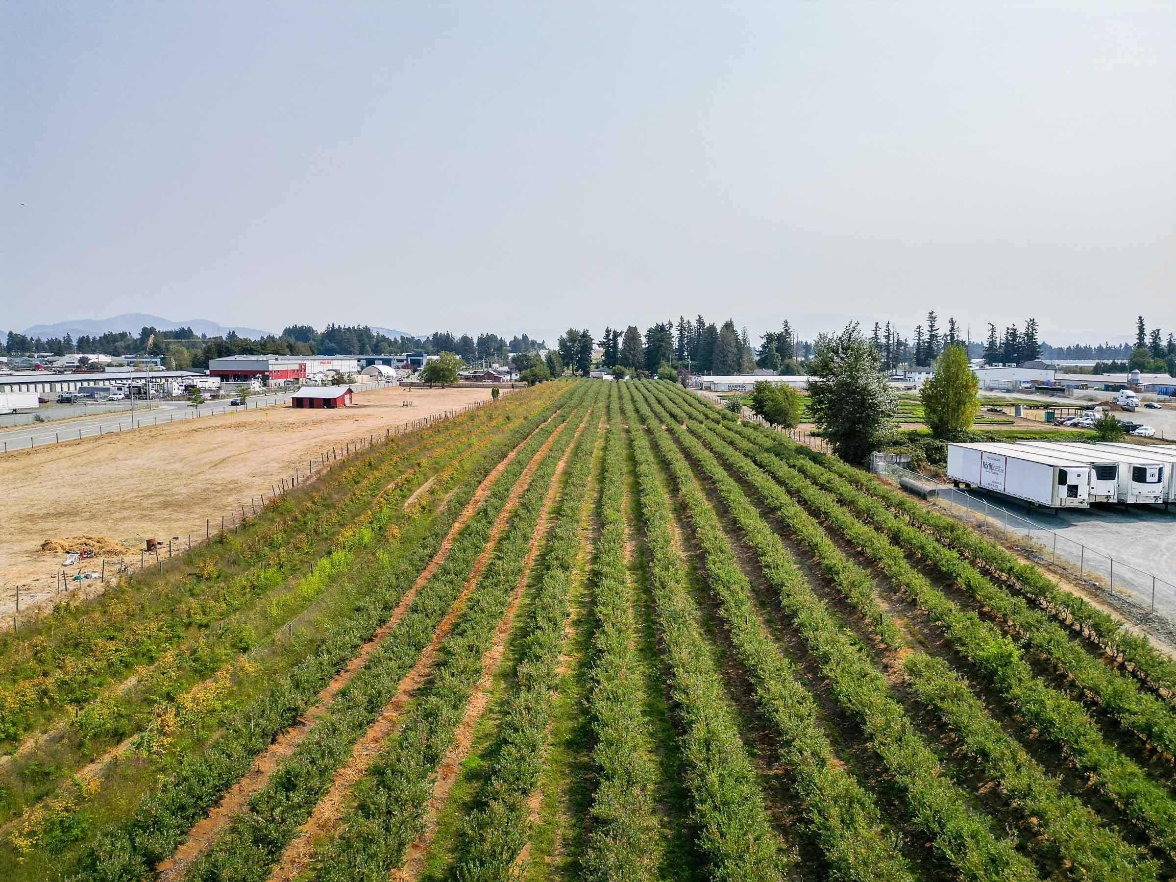 Residential in Abbotsford 5