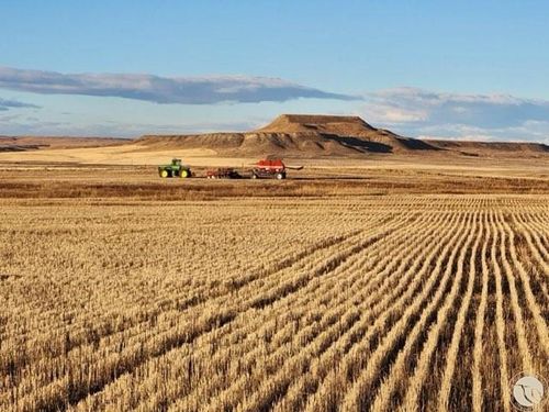 TBD Gee Rd, Rapelje, MT, 59067 | Card Image