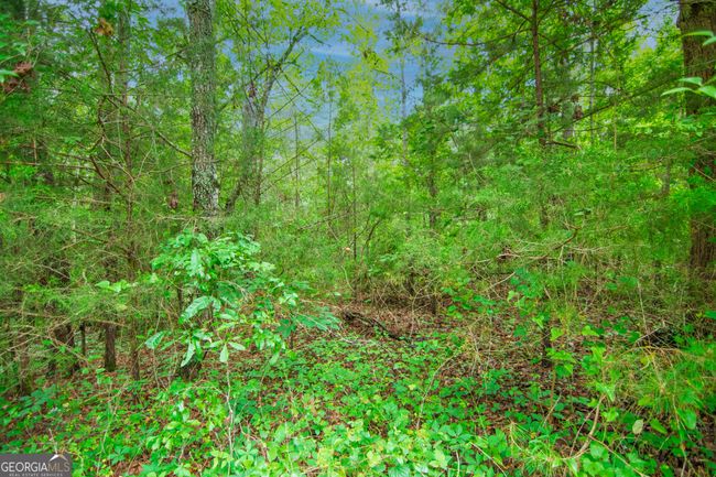 0 Ga Highway 103, Home with 0 bedrooms, 0 bathrooms and null parking in WEST POINT GA | Image 5