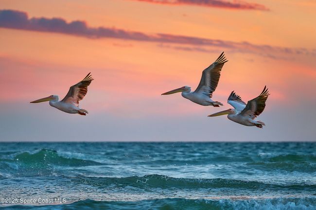 A701 - 5635 Highway A1a, Condo with 3 bedrooms, 3 bathrooms and null parking in Melbourne Beach FL | Image 83