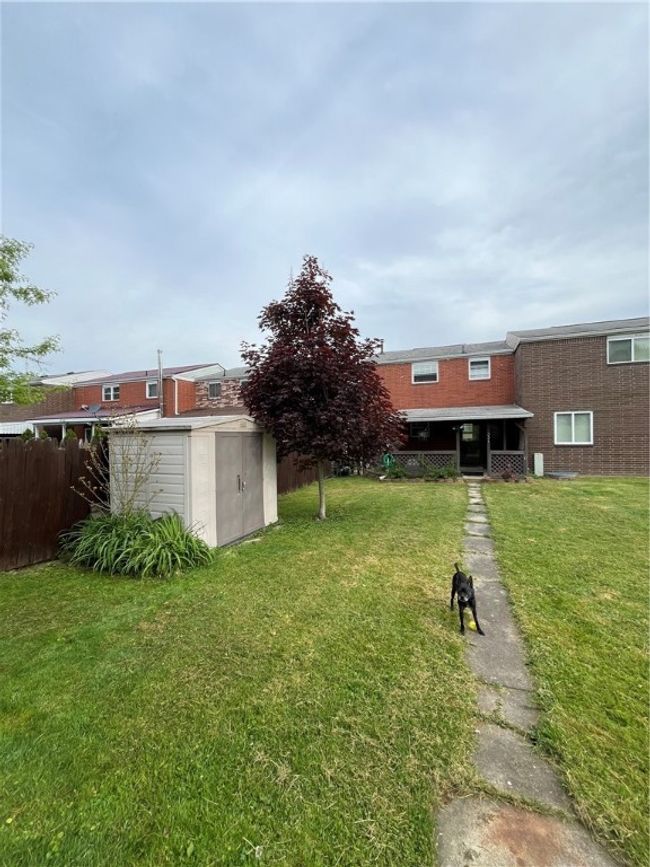 BACKYARD | Image 5