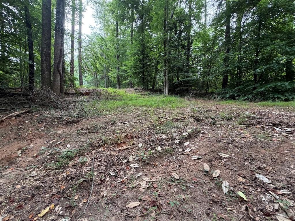 Land in Ellenwood 5