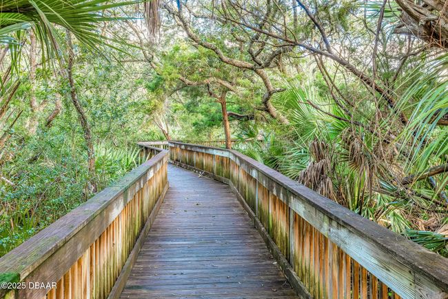 116 Beach St, House other with 3 bedrooms, 2 bathrooms and null parking in Ponce Inlet FL | Image 55
